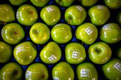 Urban Walk Blankenberge 2025, photo by Tomas Sisk / Golazo