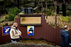 Urban Walk Blankenberge 2025, photo by Tomas Sisk / Golazo